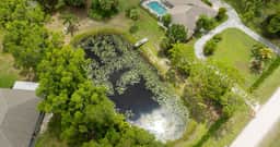 Whispering Palms Retreat - Image 2