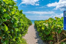 Juno Beach Landings 2 - Image 2